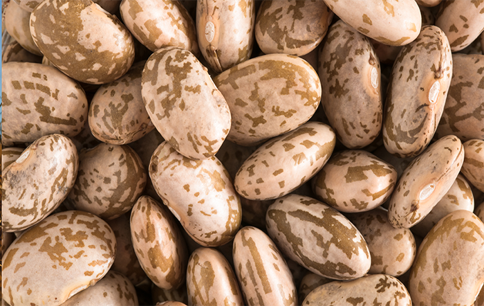 Feijão: Preços estão mais firmes; produção no Paraná deve cair