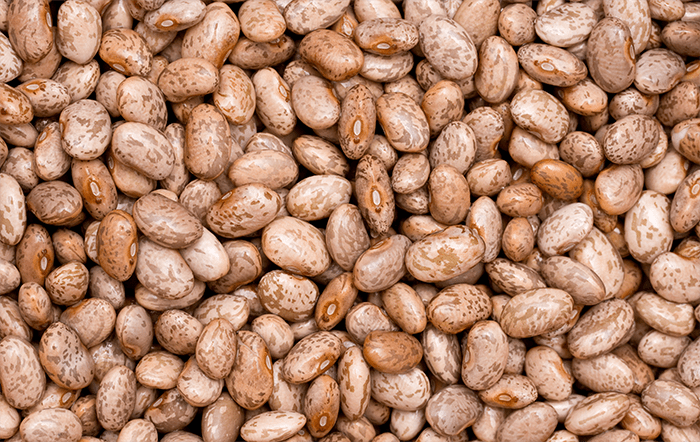 Feijão: Preços registram movimentos distintos entre as regiões