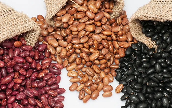 Feijão: Com menor demanda, preços recuam ao longo de novembro