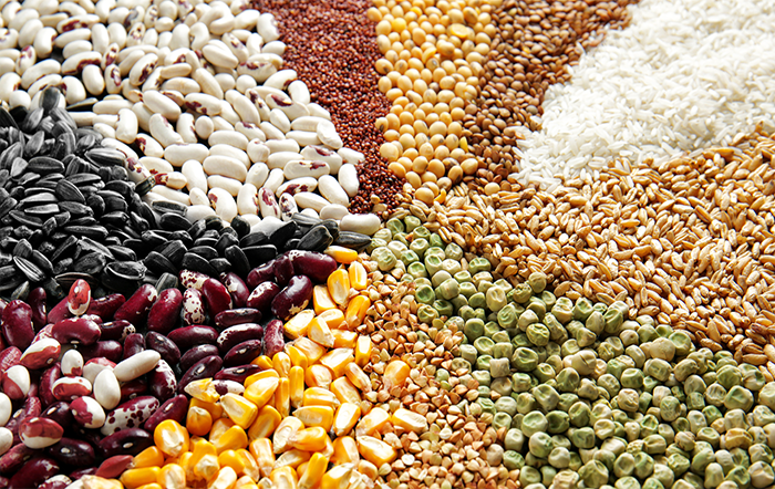 Produção de grãos na safra 2025/26 está estimada em 354.4 milhões de toneladas