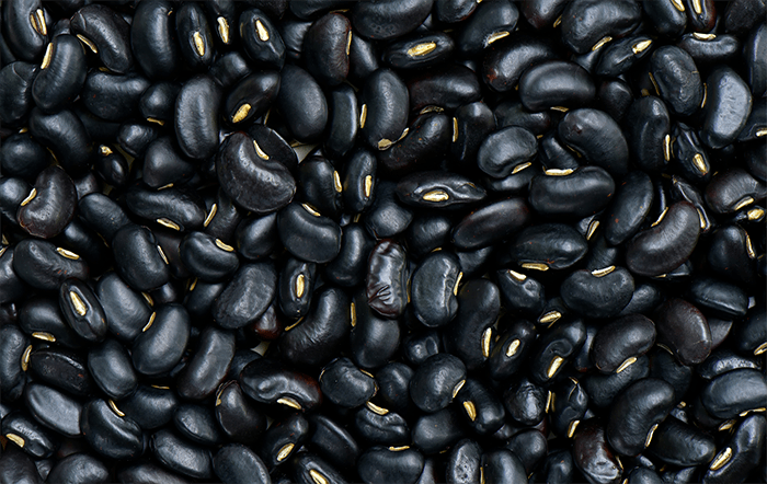 Feijão: Preços do grão Preto reagem neste começo de 2026