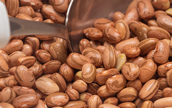 Feijão: Menor oferta eleva preços; destaque vai para o Carioca