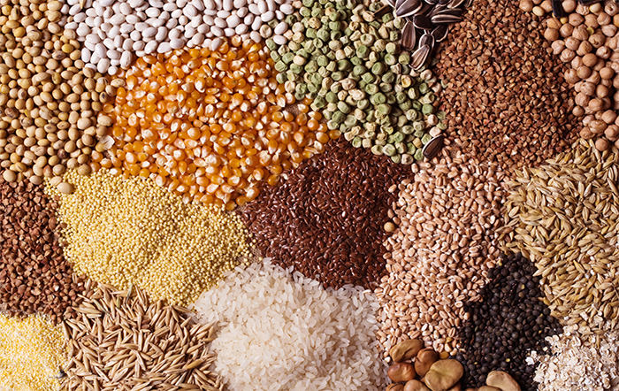 4ª previsão para safra 2025/26 indica produção de 353.13 milhões de toneladas 