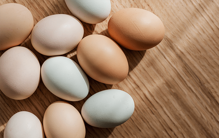 Ovos: Preço inicia 2026 em forte queda