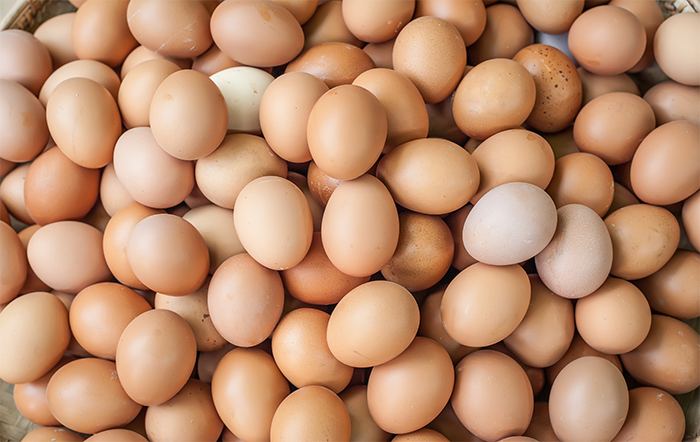 Ovos: Médias de janeiro são as menores para o período em seis anos