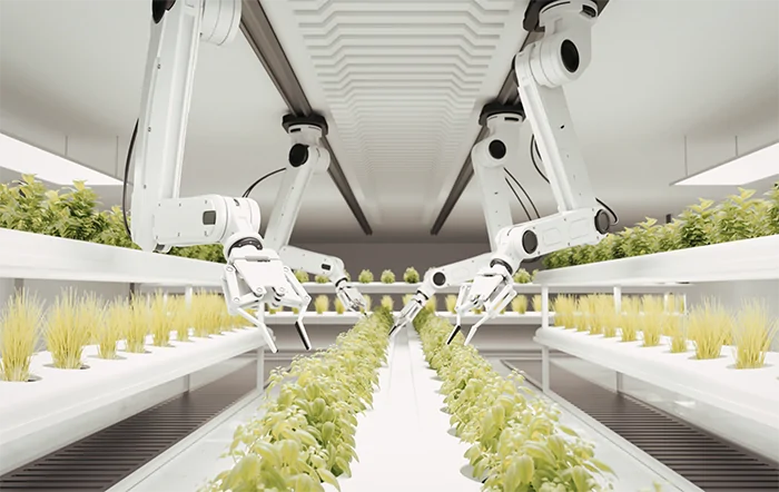 Pesquisa de Agricultura Espacial da Embrapa pode impulsionar agronegócio