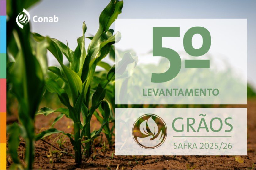 Produção de grãos é estimada em 353,4 milhões de toneladas em 2025/26