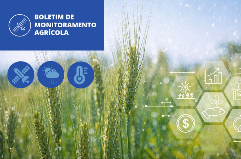 Chuvas favorecem desenvolvimento das lavouras de primeira safra em grande parte do país em janeiro