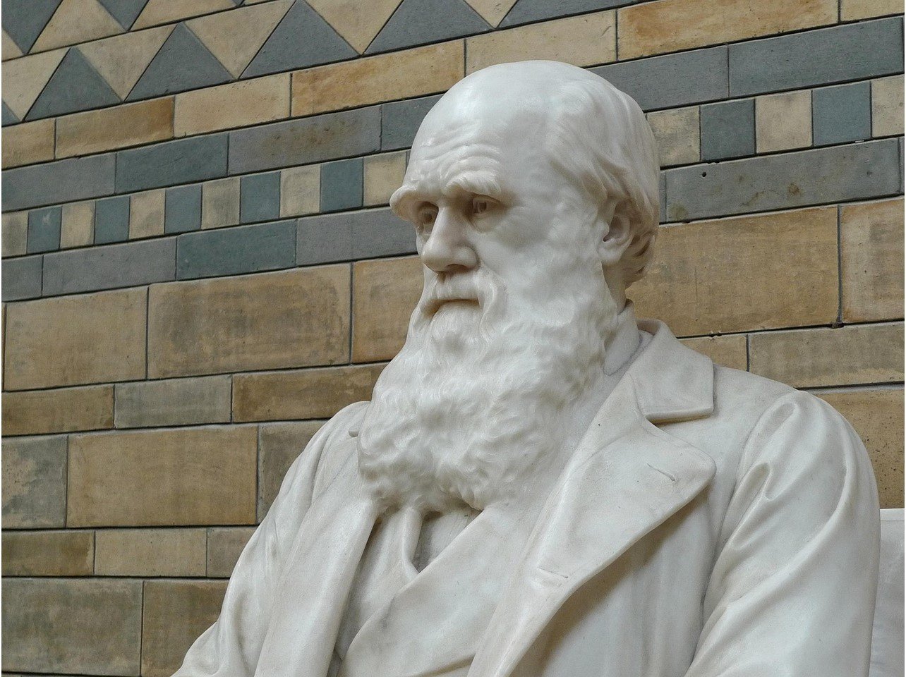 Charles Darwin, Agro e (Des)Governo. Por Evaristo de Miranda