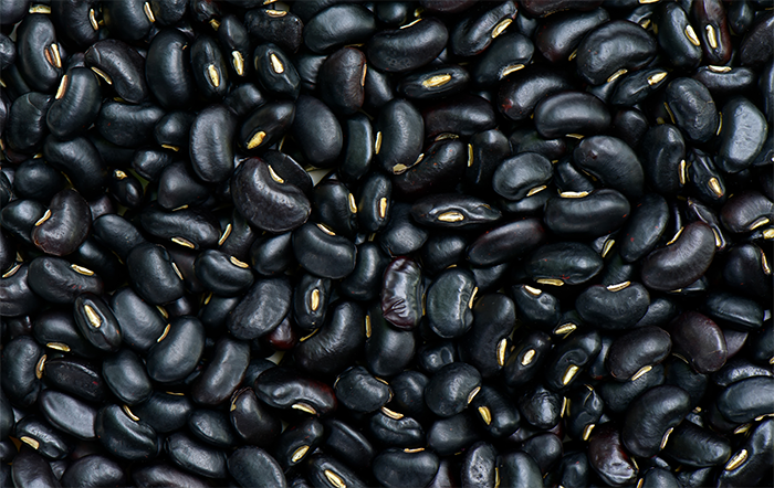 Feijão: Margem do produtor melhora neste começo de ano