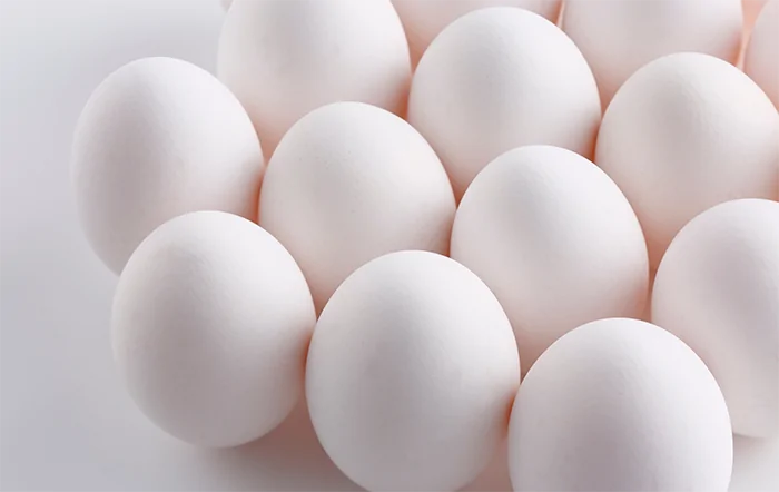 Ovos: Exportações registram melhor resultado para o mês de janeiro em 13 anos