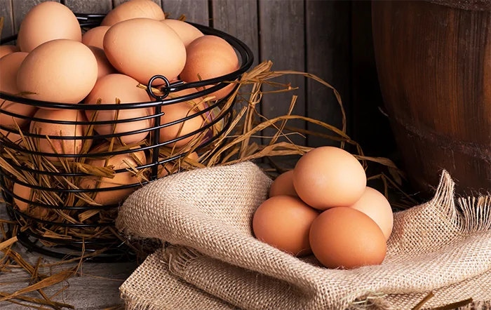 Ovos: Após caírem por cinco meses seguidos, preços reagem em fevereiro