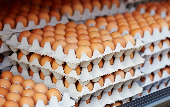 Ovos: Preços sobem pela 2ª semana consecutiva; altas chegam a 28%