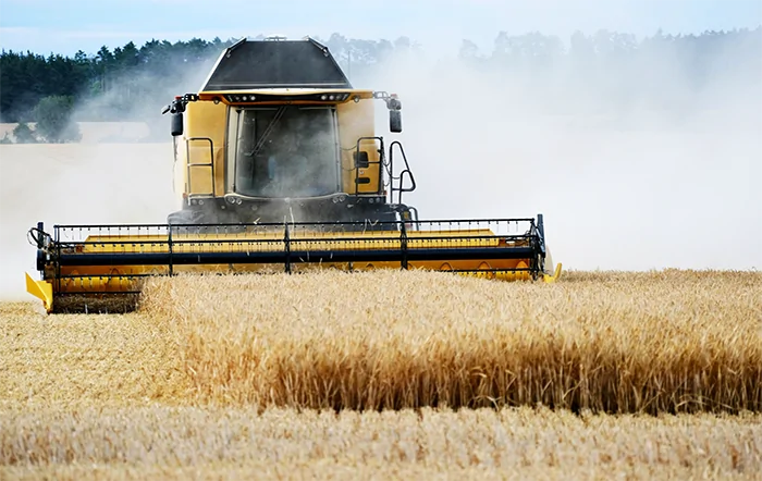 Trigo: Alta internacional eleva cotações no RS