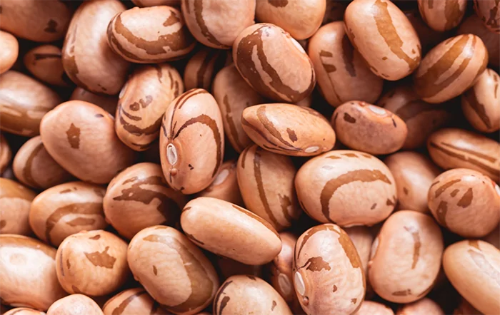 Feijão: Altas seguem intensas neste começo de fevereiro