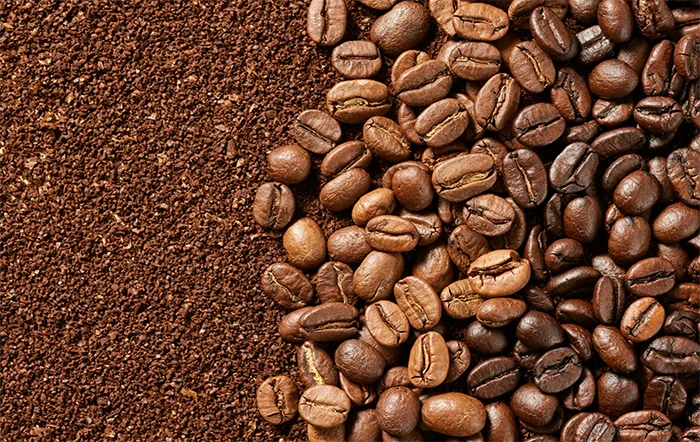 Café: Alta do diesel preocupa cafeicultor com proximidade da colheita