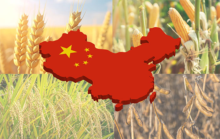 China traça estratégia para ampliar produção de grãos e reduzir dependência externa