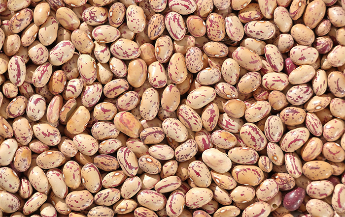 Feijão: Preços caem na semana, mas média de março segue acima da de fevereiro