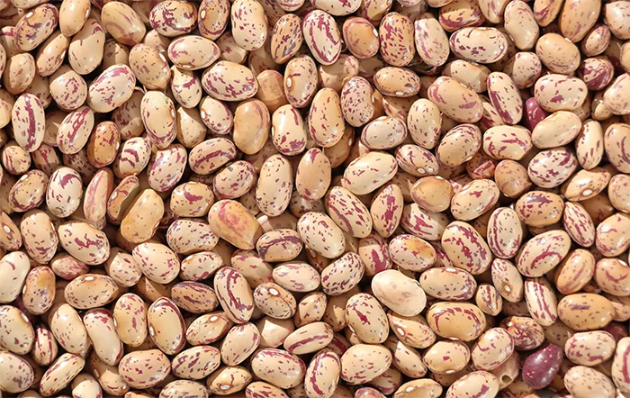 Feijão: Carioca registra alta recorde em fevereiro