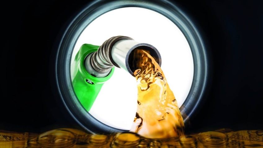 Bioenergia: conseguiremos planejar nosso futuro sustentável? Por Xico Graziano