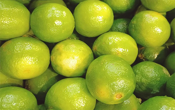 Citros: Final de safra aumenta os preços da lima ácida Tahiti