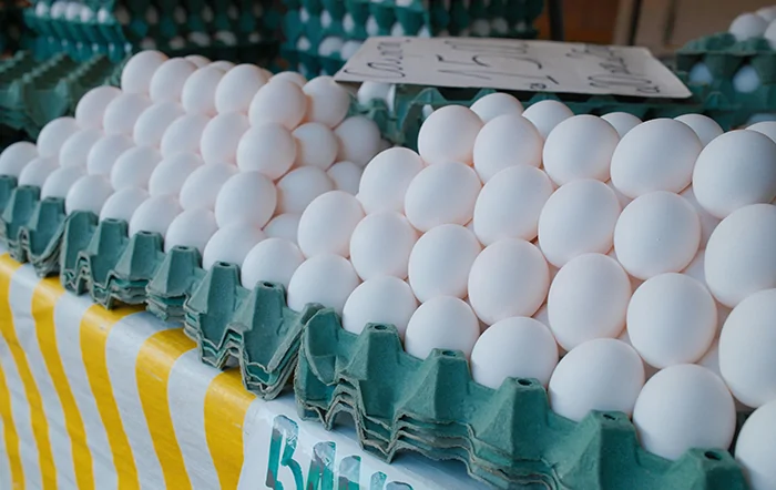 Ovos: Diferença entre os preços dos ovos vermelhos e brancos supera 40%