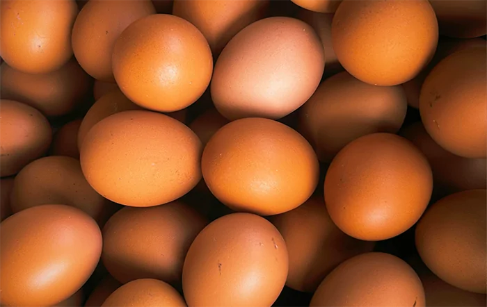 Ovos: Cotações seguem firmes com demanda aquecida e oferta limitada