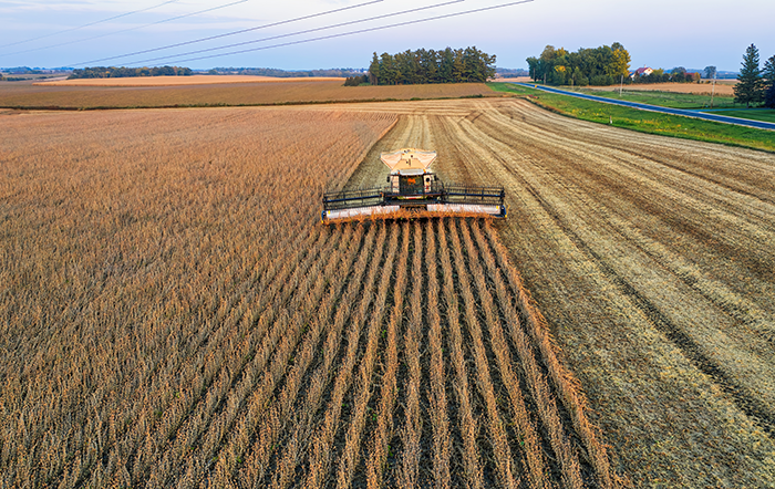 Agropecuária brasileira enfrenta cenário de instabilidade com crédito reduzido e alto endividamento