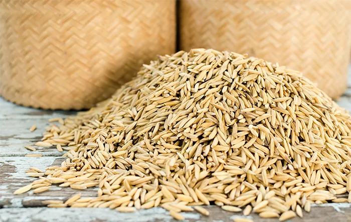 Arroz: Cotações sobem mais de 11% em março, mas liquidez segue baixa no RS