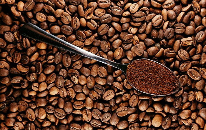 Café: Colheita se aproxima e pressiona preços, sobretudo do Robusta