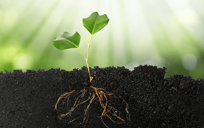 Novo agro em pauta: CI Orgânicos e SNASH realizam webinar sobre bioinsumos e regeneração