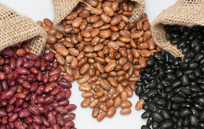 Feijão: Preços recuam neste início de abril; mercado busca novo equilíbrio