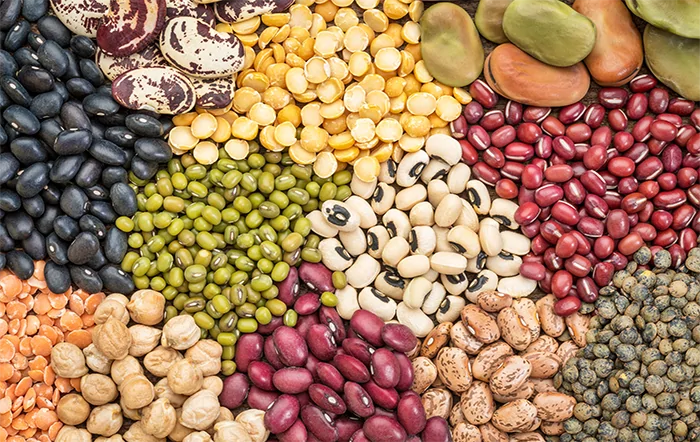 Feijão: Com demanda retraída, preço cai no final de março