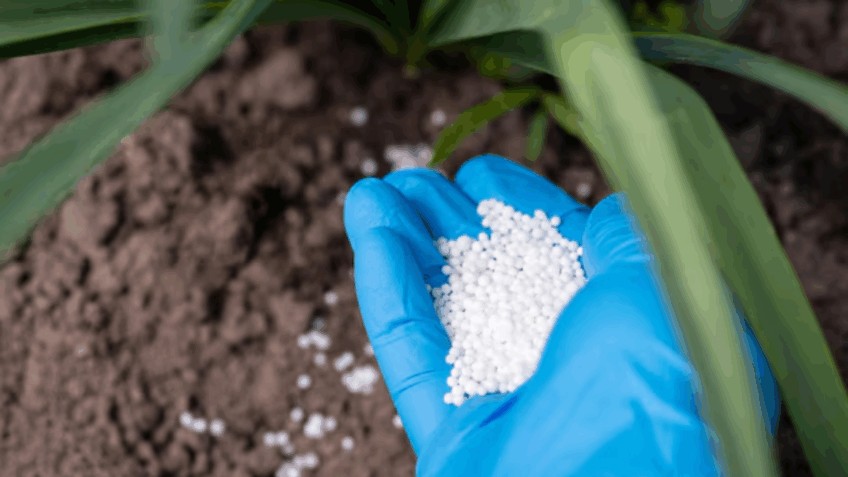 O risco dos fertilizantes na soberania agropecuária do Brasil. Por Xico Graziano