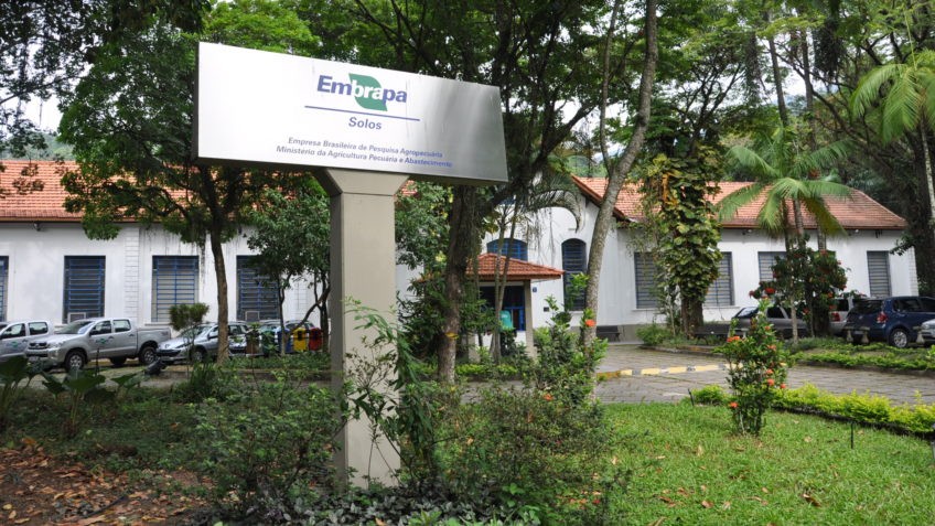 Aposentadoria aos 75 ameaça talentos da Embrapa. Por Xico Graziano