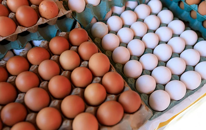 Ovos: Com demanda enfraquecida, preços caem