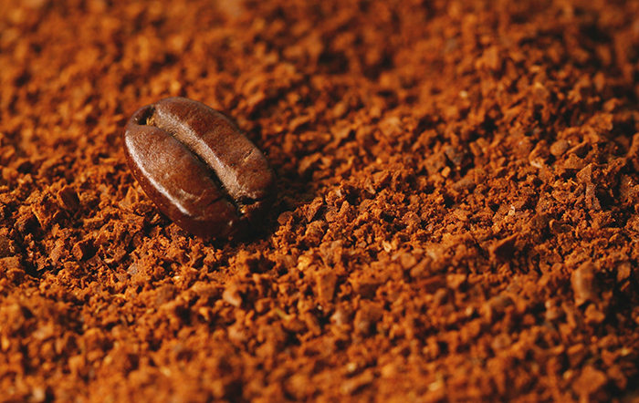 Café: Chuvas no início da colheita preocupam cafeicultores