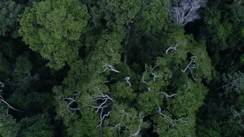 Causará o homem sua própria destruição ecológica? Por Xico Graziano