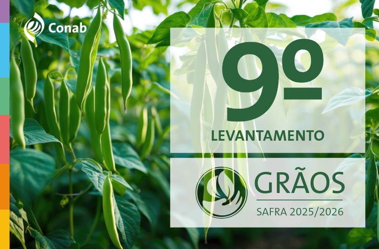 Produção de grãos deve atingir 358,6 milhões de toneladas na safra 2025/26. Novo recorde!