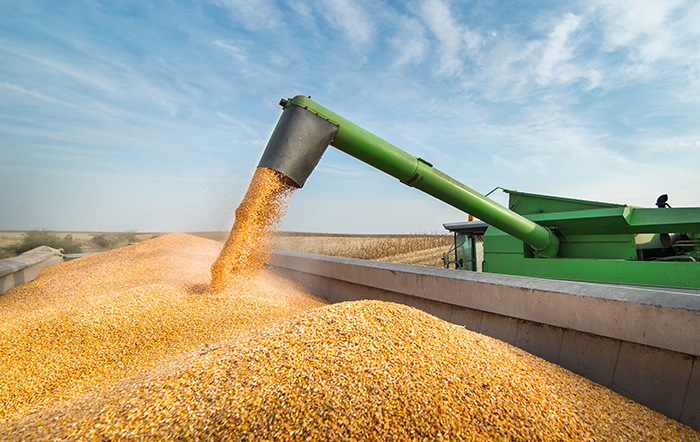 O Índice de Preços dos Alimentos da FAO permanece estável em meio a tendências divergentes nos preços das commodities
