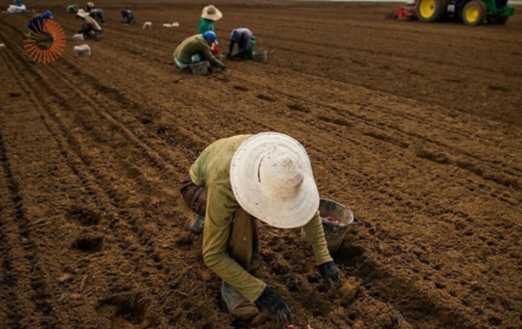 A dramática emergência do seguro rural no Brasil. Por Xico Graziano