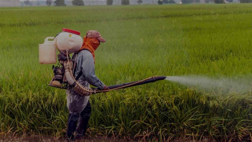 Agro é exemplo na logística reversa de embalagens de agrotóxicos. Por Xico Graciano