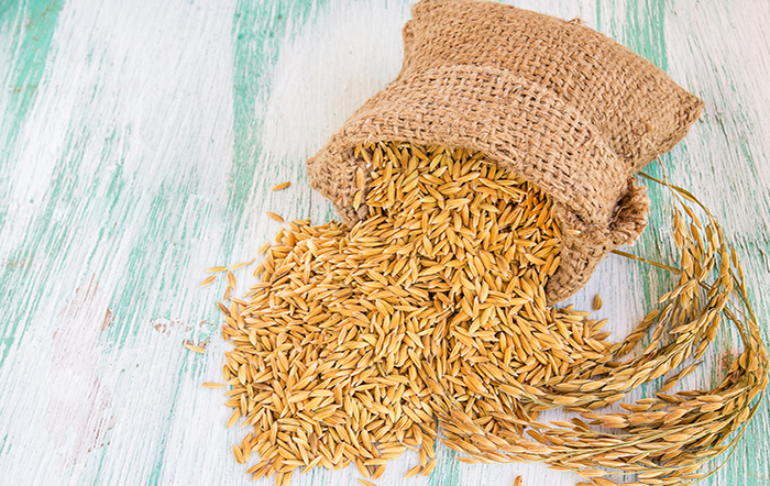 Arroz: Indicador registra o maior patamar desde setembro de 2025