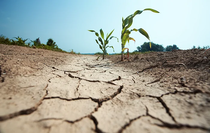 INMET reforça monitoramento do El Niño
