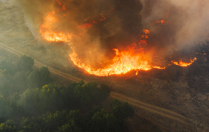 Super El Niño exige prevenção e gestão de incêndios florestais