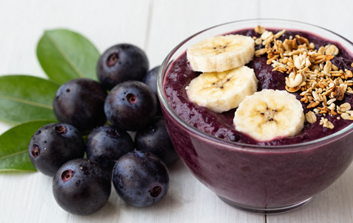 Projeto busca ampliar produção e exportação de açaí