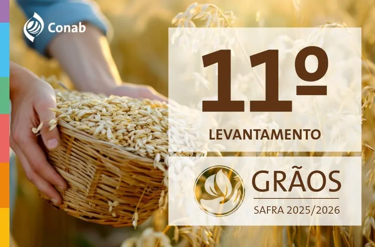 Podução de grãos na safra 2025/2026