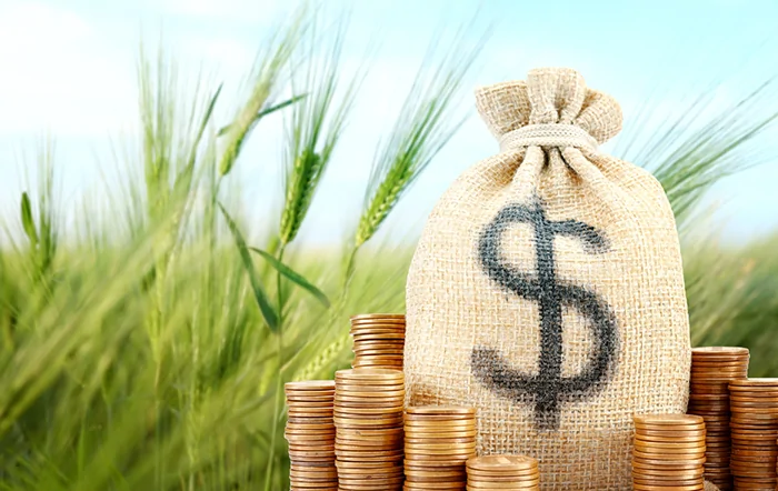 Agro: CPRs movimentam R$ 580,78 bilhões no início da safra
