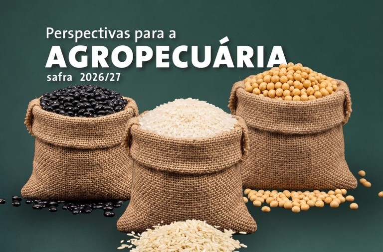 Produção de grãos na safra 2026/27 pode chegar a 366,6 milhões de toneladas