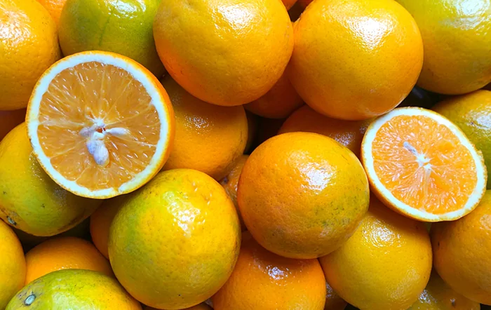 Citros: Preço da laranja Pera perde força